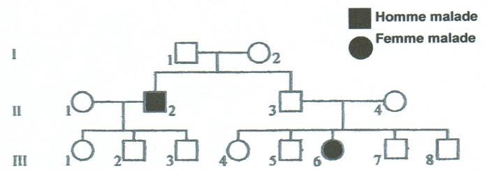 Thème 4-2 le phénotype d'un individu est lié à l'expression de son